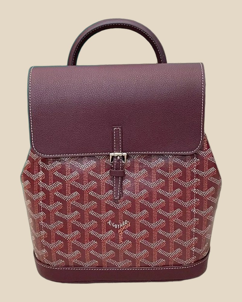 GOYARD Alpin Backpack — QC